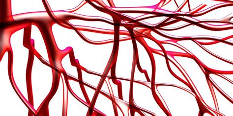 Scientists Use 3d Printing To Print Out Human Blood Vessels Mens Health