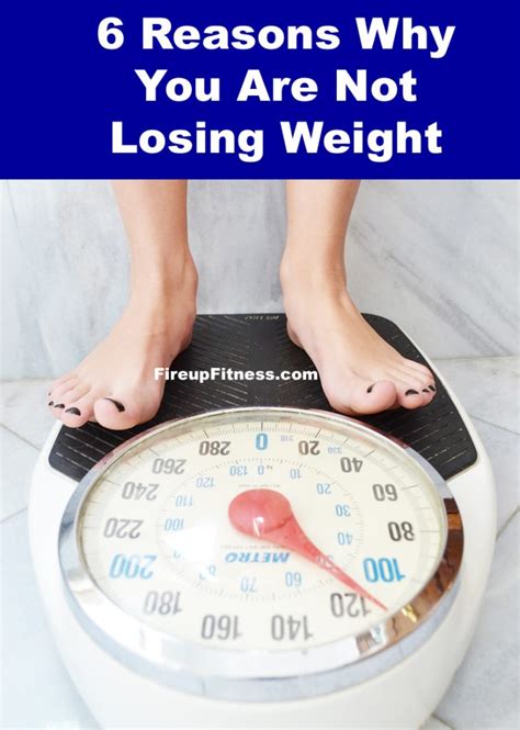 6 Key Reasons Why You Are Not Losing Weight