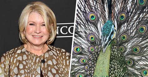Let Martha Stewarts Story About Her New Peacock Soothe You