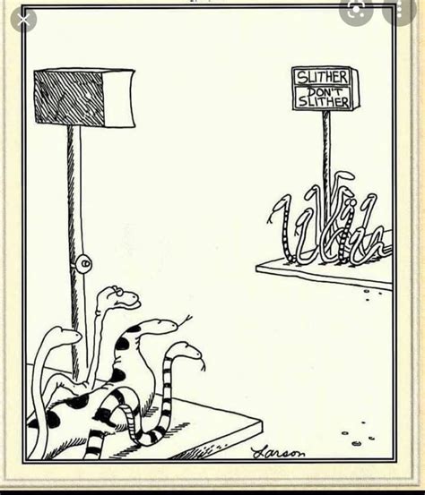 Top 20 Hilarious Far Side That Will Make You Laugh Now Wakeup Vrogue