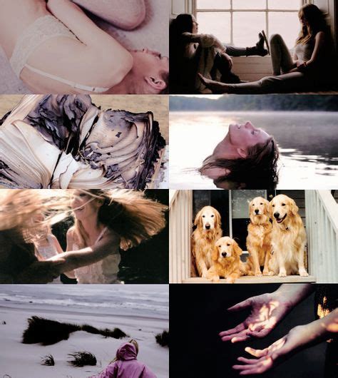 27 We Were Liars Aesthetic Ideas We Were Liars Liar Aesthetic