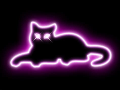 Neon Cat By M1k3pr0 On Deviantart