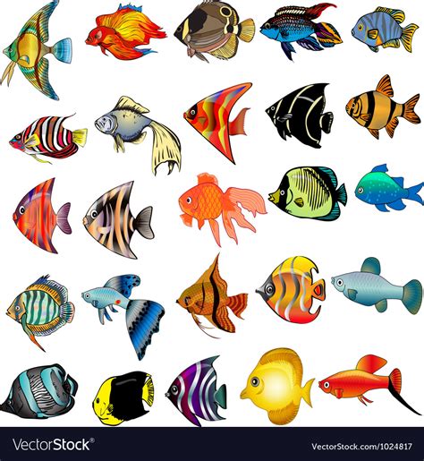 Get Tropical Fish Svg Free Images Free Svg Fishing Cut Files Design