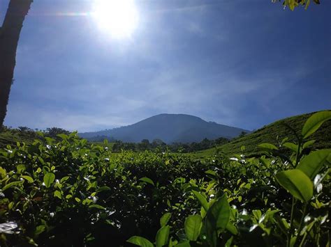 Wisata Di Blitar Jawa Timur Lengkap Tahun 2022 Untuk Berlibur