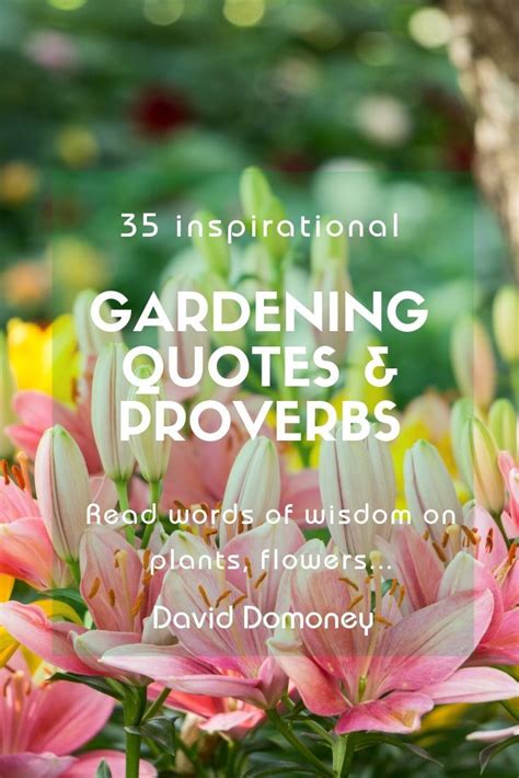 35 Inspirational Gardening Quotes And Famous Proverbs David Domoney
