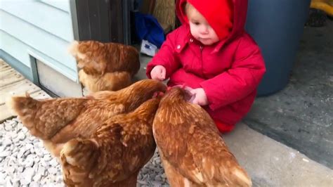 Adorable Babies Love Chicken Compilation Youtube