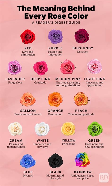 17 Rose Color Meanings To Help You Choose The Perfect Bouquet
