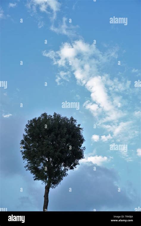 Lonely Environment Hi Res Stock Photography And Images Alamy