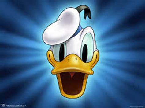 10 Facts About Donald Duck Fact File