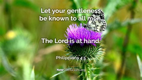 Show Your Gentleness Philippians 45 Newcreeations