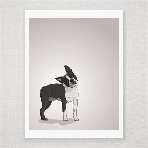 Boston Terrier Illustrated Print Boston Terrier Art Dog Portraits