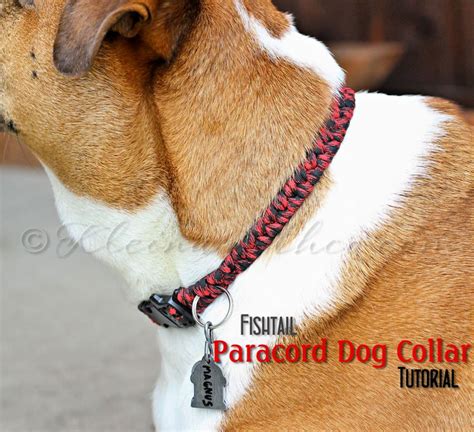 How To Make A Dog Collar 15 Diy Dog Collar Ideas