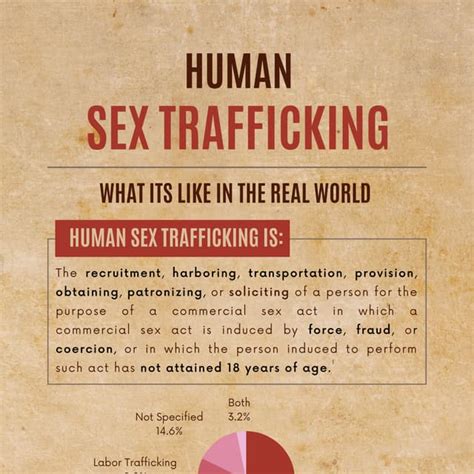 Human Sex Trafficking In The Real World Pdf