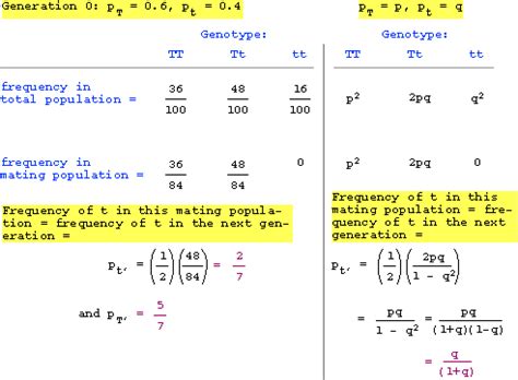 In 1908, godfrey hardy and wilhelm weinberg independently discovered the laws that govern such populations. Hardy Weinberg Practice Problems Worksheet With Answers ...