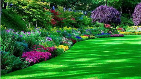 Garden Park With Green Grass And Colorful Flowers Hd Garden Wallpapers Hd Wallpapers Id 57830