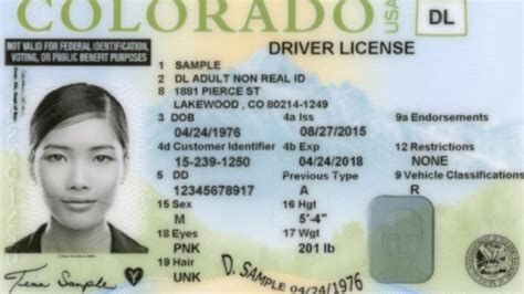 Colorado Temporary Paper Drivers License Yellowit
