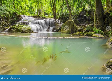 Waterfalls And Fish Swim In The Emerald Blue Water In Erawan National