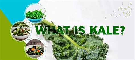 What Is Kale What Are Its Health Benefits Food And Nutrition