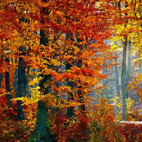 Forest Painting Autumn Trees Free Stock Photo Public Domain Pictures