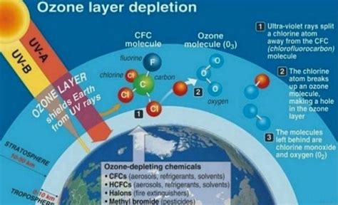World Ozone Day September 16 Causes And Effects Of Ozone Depletion