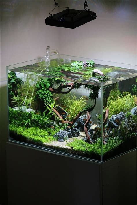 Cool 30 Awesome Fish Tank Ideas 30 Awesome Fish
