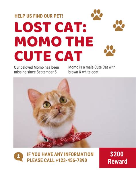 White Lost Cat Flyer Venngage