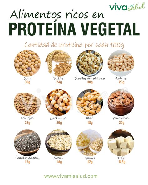 Alimentos Ricos En Proteína Vegetal Alimentos Ricos En Proteínas