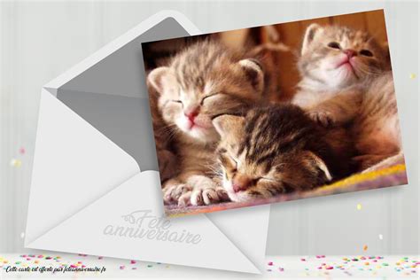 Anniversaireenfant.fr anniversaire enfant , adulte. Carte virtuelle anniversaire chatons - Carte gratuite ...