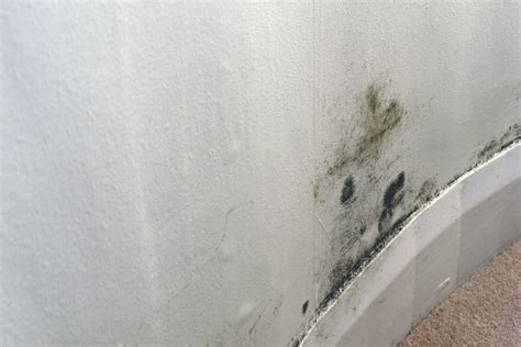 Why Do I Get Damp Patches On Internal Walls Envirovent