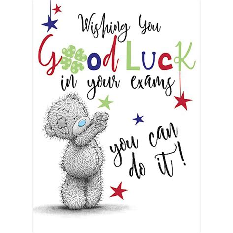 Grab it and do your best, don't let it pass through. Good Luck In Your Exams Me To You Bear Card (ASS01070 ...