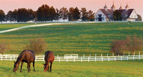 Horse Farm ~ Lexington Ky Kentucky Horse Farms Horse Farms Horses