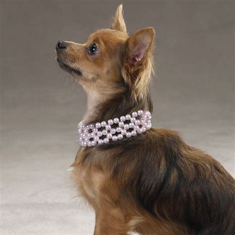 Dog Jewelry For Dogs Flat Fee Shipping Dog Pearls Dog Pearl