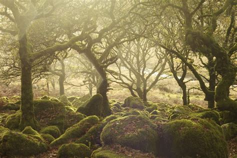 Top 20 Most Beautiful British Countryside Scenes Freeyork