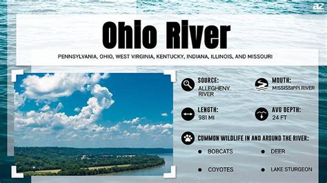 Where Does The Ohio River Start A Z Animals