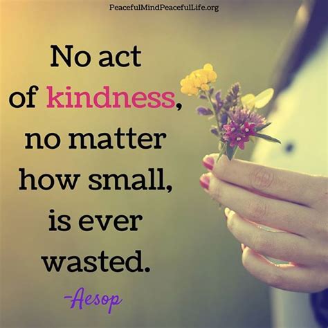 The Power Of Kindness 10 Favorite Peaceful Mind Peaceful Life