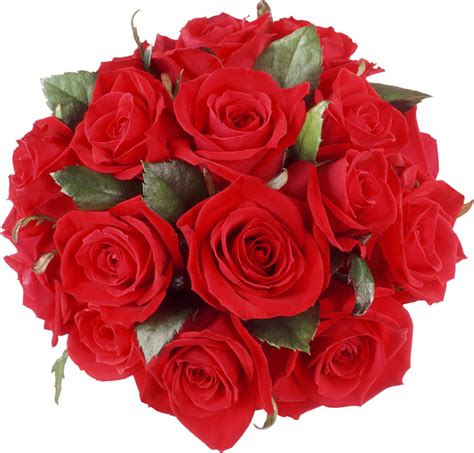 Check out our bunch of red roses selection for the very best in unique or custom, handmade pieces from our shops. Rose Bunch PNG File | PNG Mart