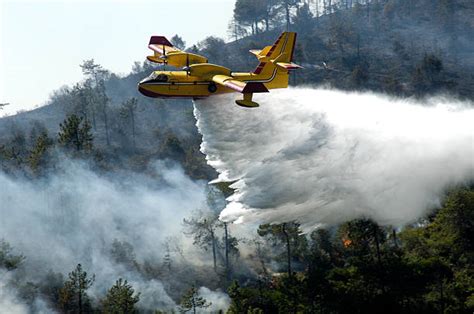 1800 Forest Fire Plane Stock Photos Pictures And Royalty Free Images