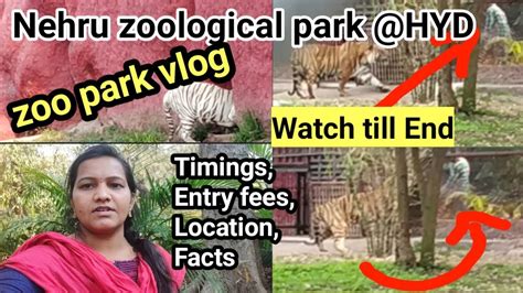 Nehru Zoological Park At Hyd In Telugu 2021🐅🦁🦍timings Entry Fee