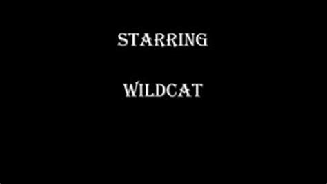 Wildcat Takes It Up The Ass And Swallows The Cum Topcat Productions Xxxl All Amateur Clips4sale