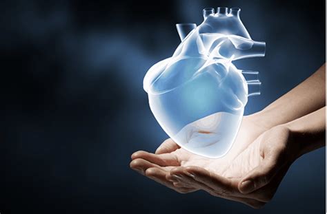 4 Ways To Take Care Of Your Heart Qualicare