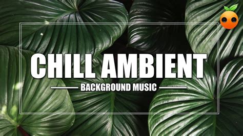 Chill Ambient Background Music Royalty Free Music Stock Music