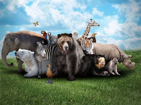 What Will Make You Happy Quiz Goodnet Most Endangered Animals