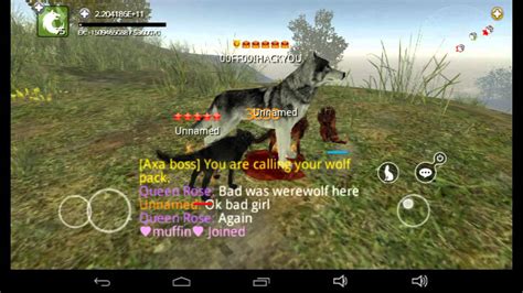 Wolf Online Game Play Youtube
