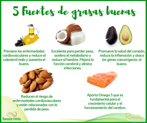 5 Fuentes De Grasas Buenas Grasas Saludables Nutrición Salud Y