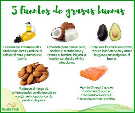 5 fuentes de grasas buenas Grasas saludables Nutrición Salud y