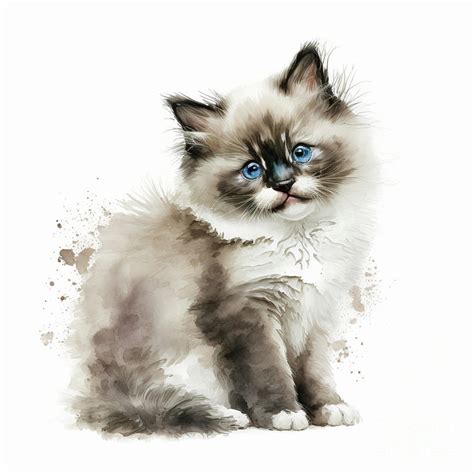 Cute Ragdoll Kitten Digital Art By Lauras Creations Fine Art America