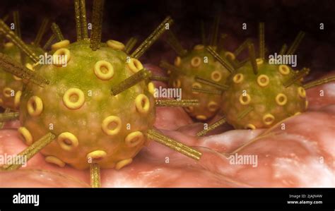 Ilustración Biomédica Conceptual Del Virus Del Herpes Simple En La