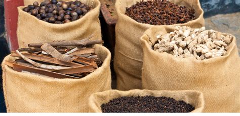 Kerala Spices What Are All They List Of Top 10 Spices Grown In Kerala