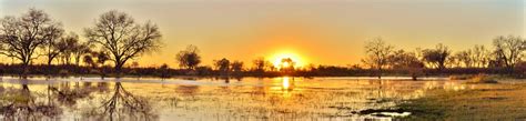 Travel Info Khwai Tented Camp Okavango Delta Botswana