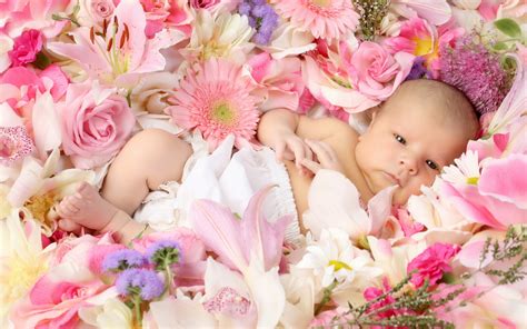 Desktop Child Baby Flowers Hd Desktop Wallpapers